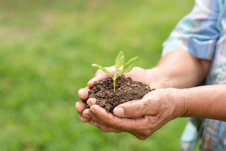 UFF lança GT Agroecologia